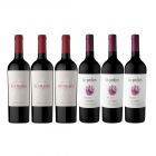 Combo Las Perdices | Benmarco Malbec x6