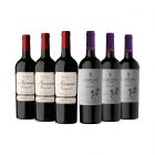 Combo Nicasia Red Blend | Los Cardos Malbec