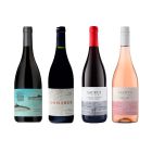 Pinot Noir patagónicos