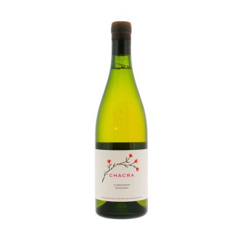 Chacra Chardonnay