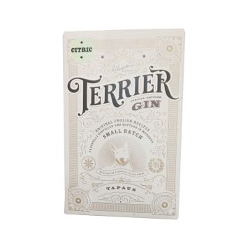 gin terrier