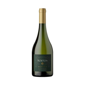 Norton Altura White Blend
