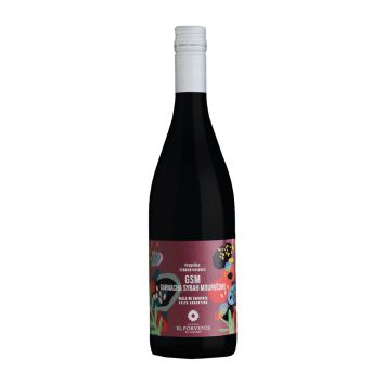 Porvenir Pequeñas Fermentaciones GSM