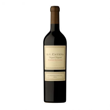 dv catena cabernet sauvignon la pirámide vineyard | agrelo