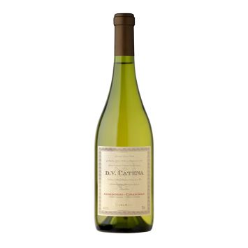 dv catena chardonnay chardonnay