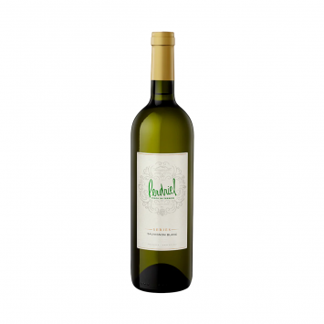 Norton Perdriel Sauvignon Blanc