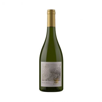 Paucho Pinot Gris | Pinot Noir