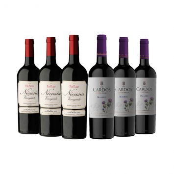 Combo Nicasia Red Blend | Los Cardos Malbec