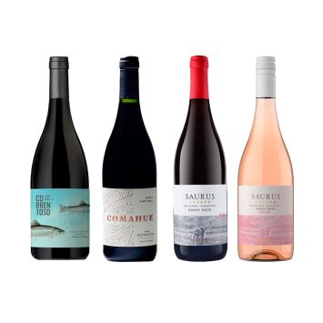 Pinot Noir patagónicos